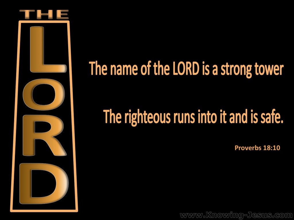 Proverbs 18:10 The Name Of The Lord Is A Strong Tower (black)